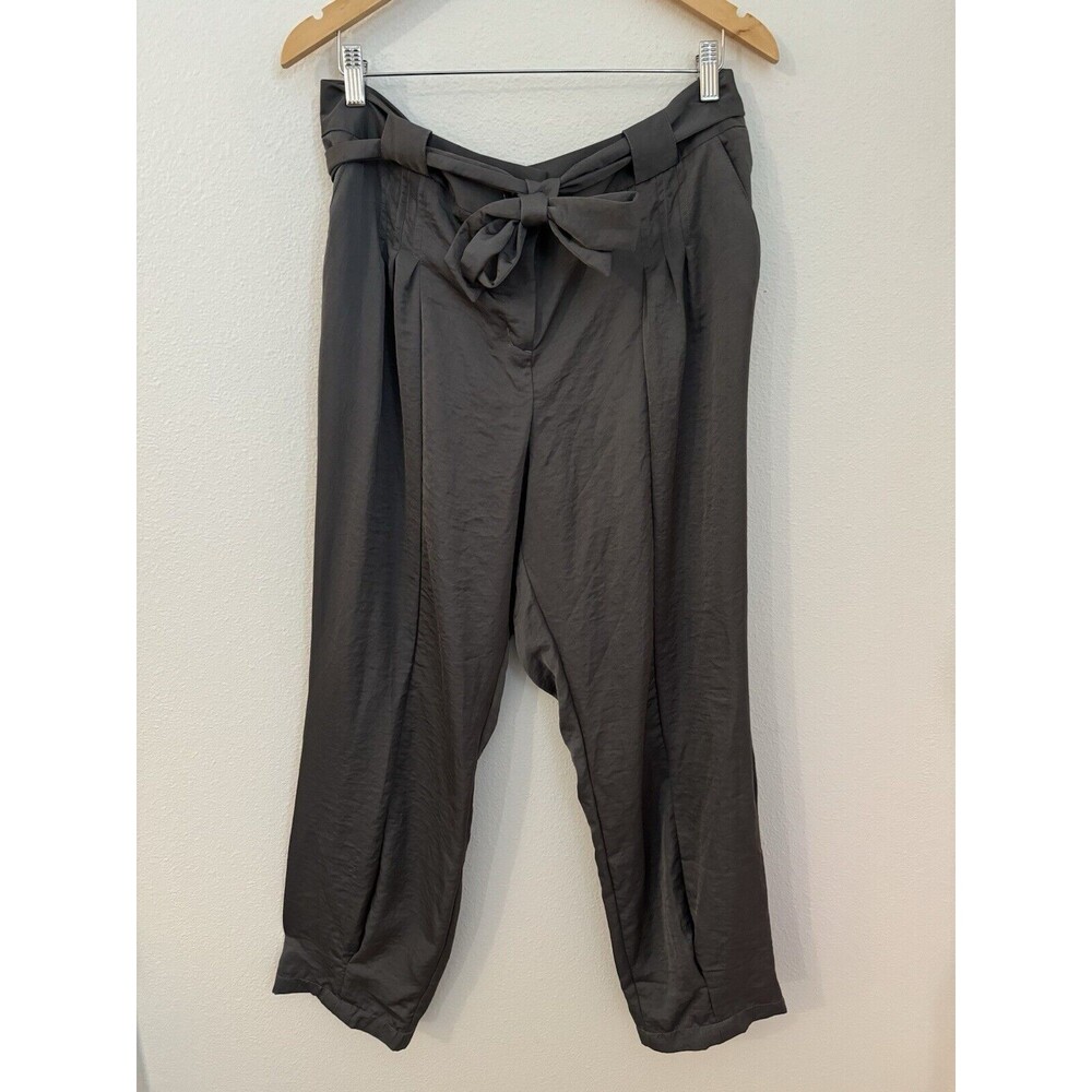 Lane Bryant Pants Womens 14 Silver Ankle Trousers Pleated Belted Holiday New